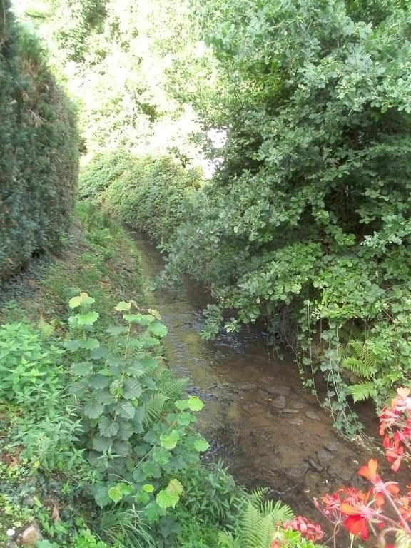 Pension Waldfrieden Maring-Noviand Zimmer foto